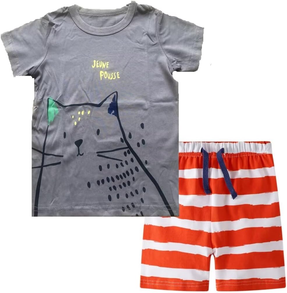 Boy's Summer Outfits 2 Pcs sets