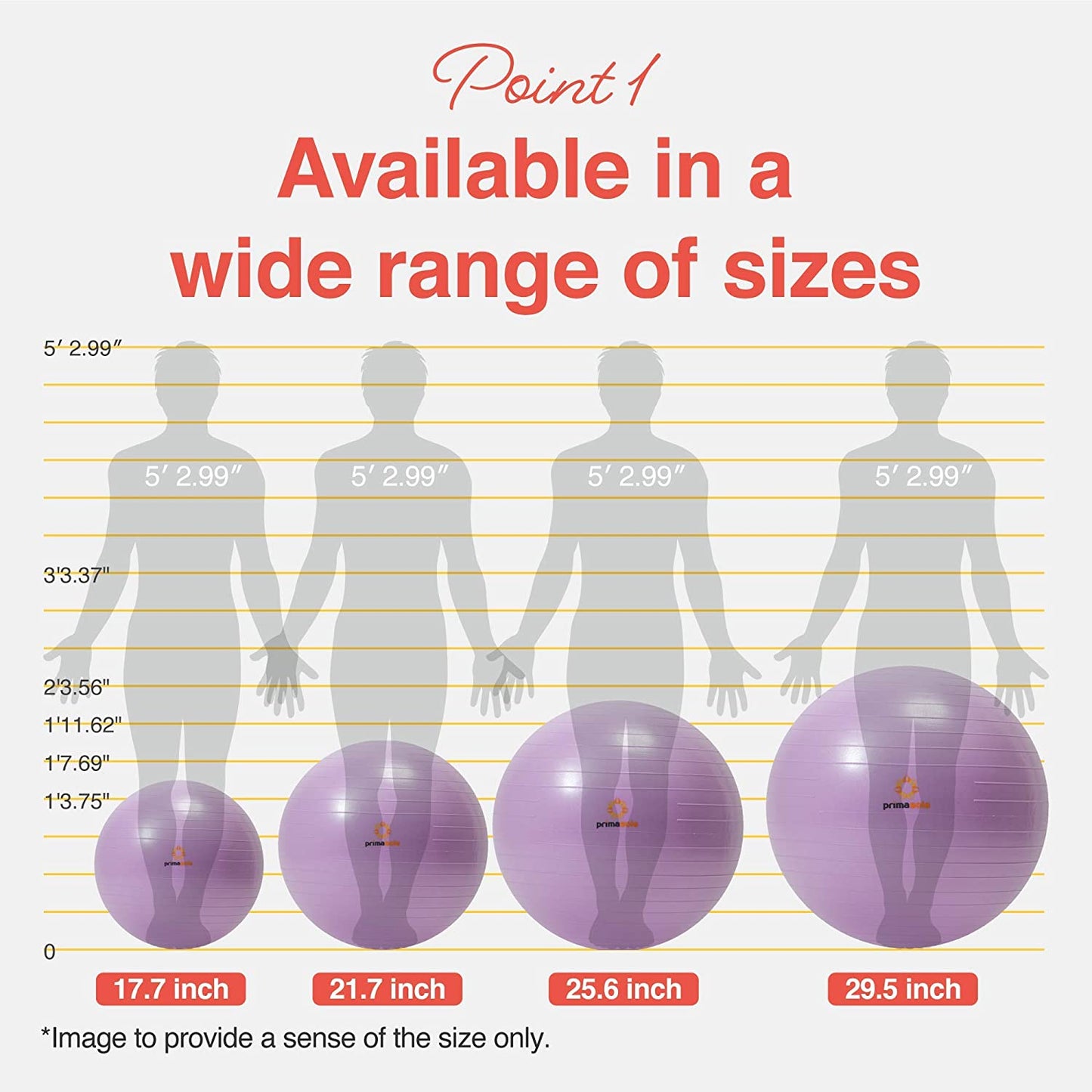 Exercise Ball with Inflator Pump