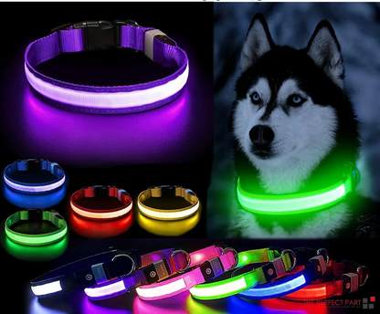 LED Adjustable Dog Collar