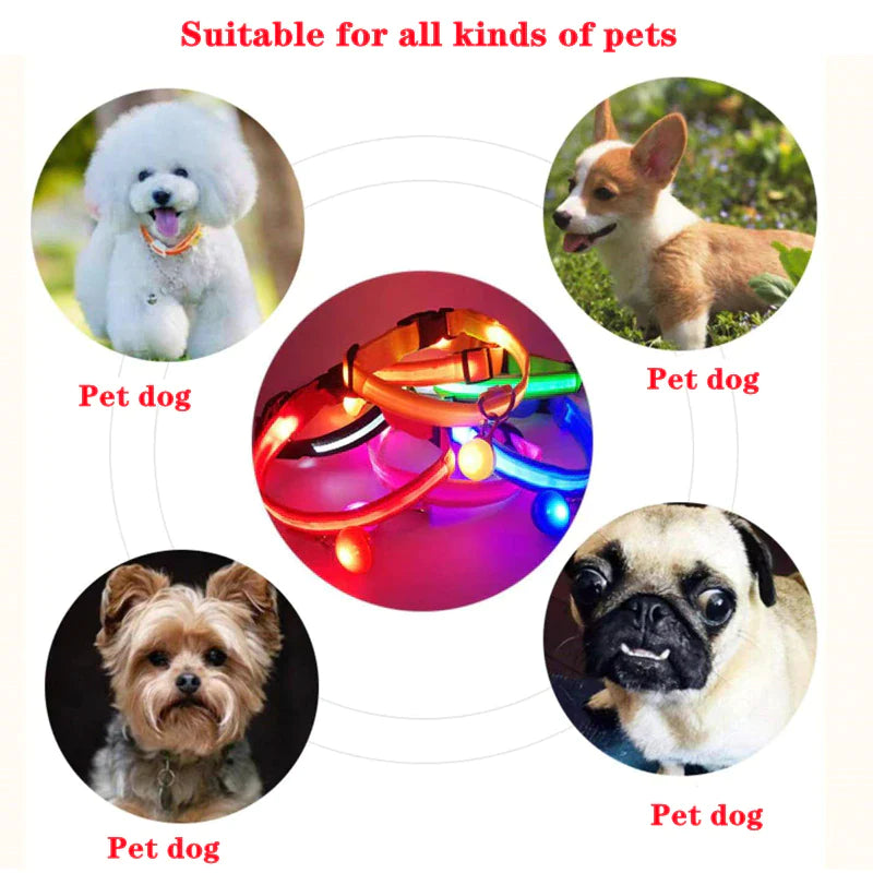 LED Adjustable Dog Collar