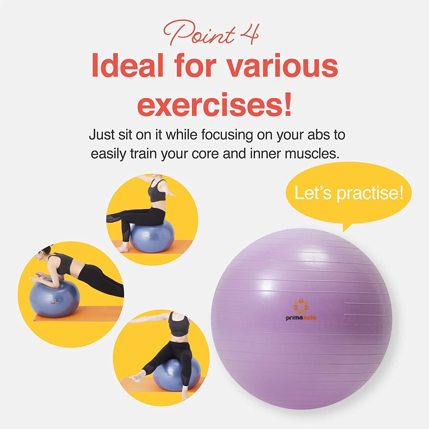 Exercise Ball with Inflator Pump