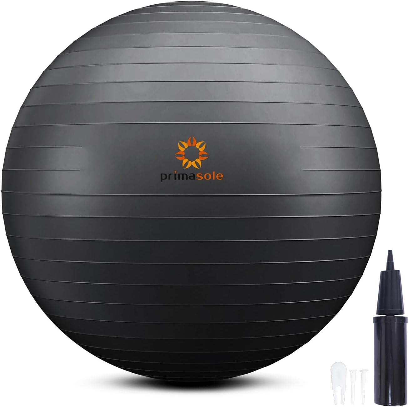 Exercise Ball with Inflator Pump