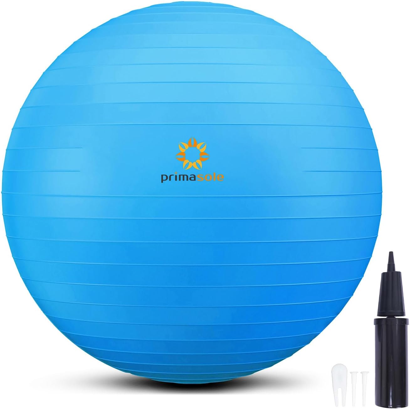 Exercise Ball with Inflator Pump