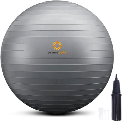 Exercise Ball with Inflator Pump