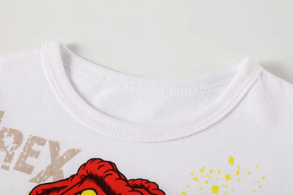 Boy's Summer Outfits 2 Pcs sets