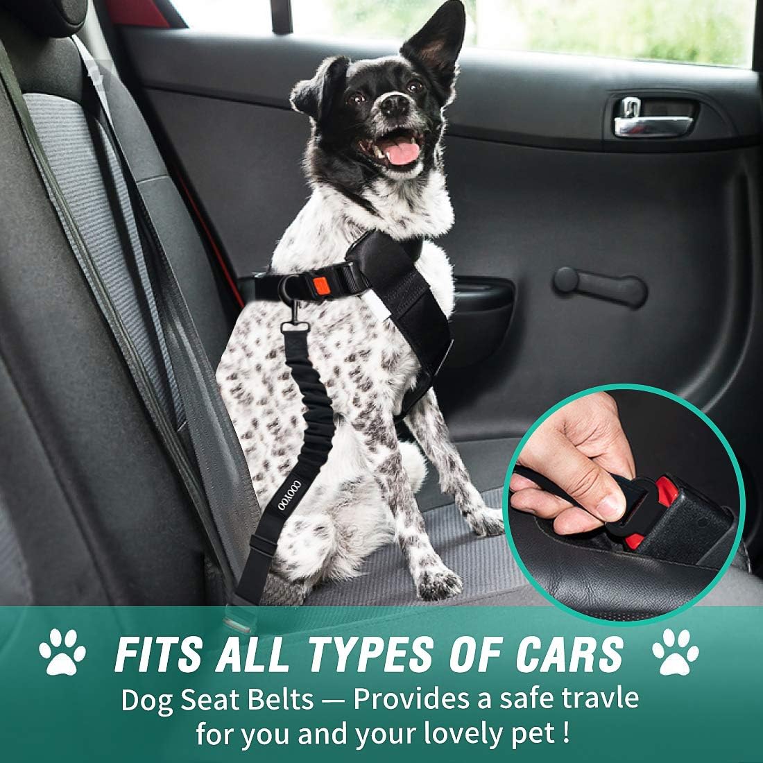 Adjustable Dog Seat Belt for Vehicles - 3 Piece Set