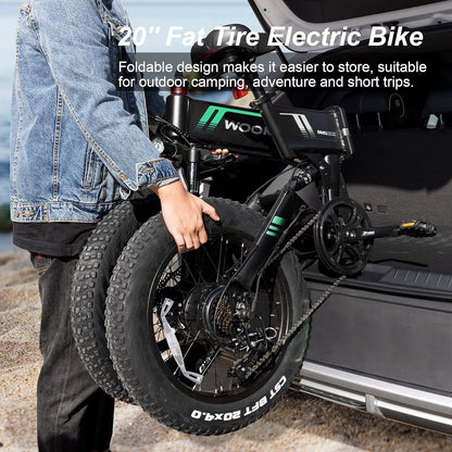 500W Foldable Electric Bicycle with 48V 10Ah Built-In Battery