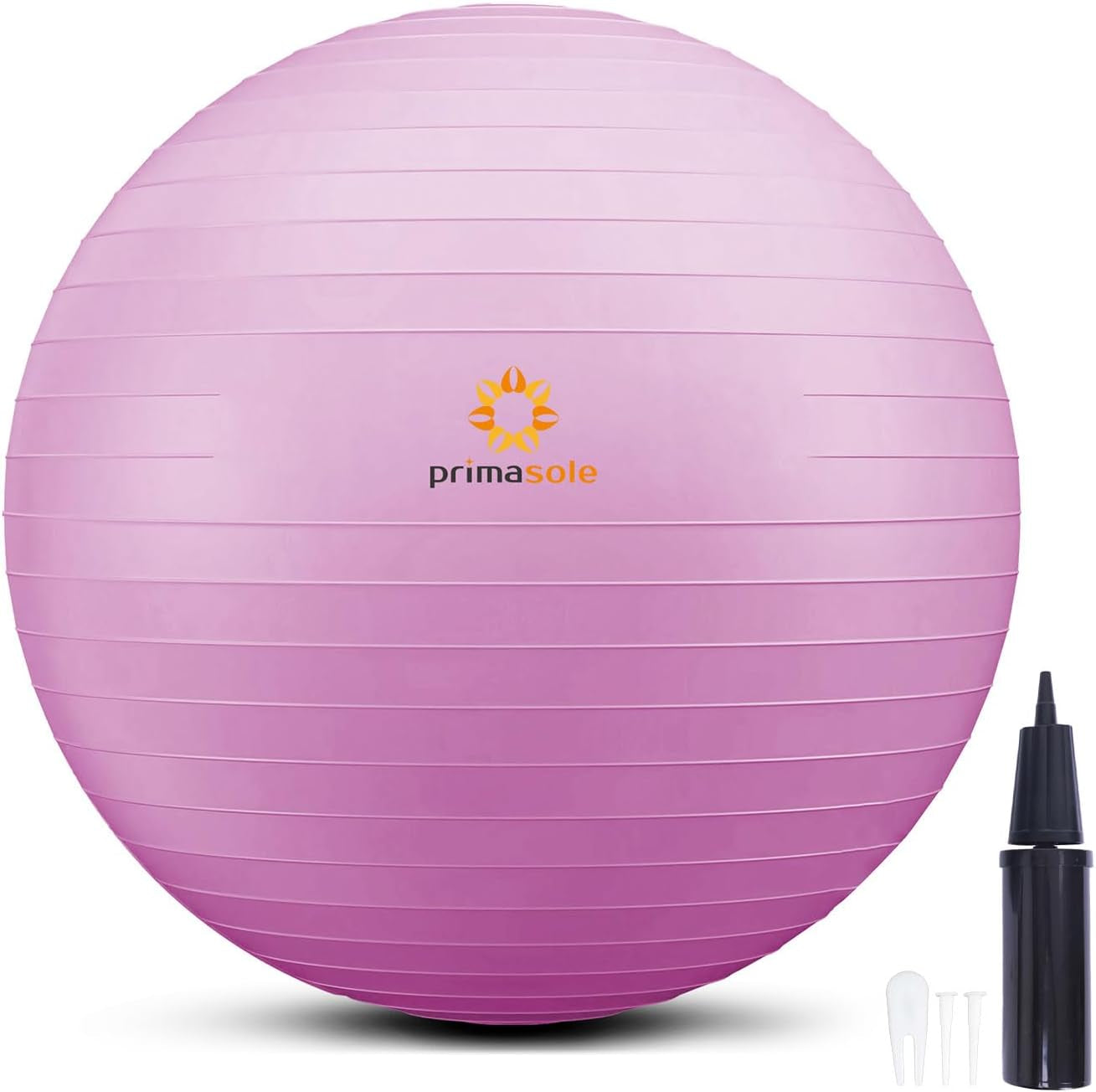 Exercise Ball with Inflator Pump