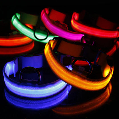 LED Adjustable Dog Collar